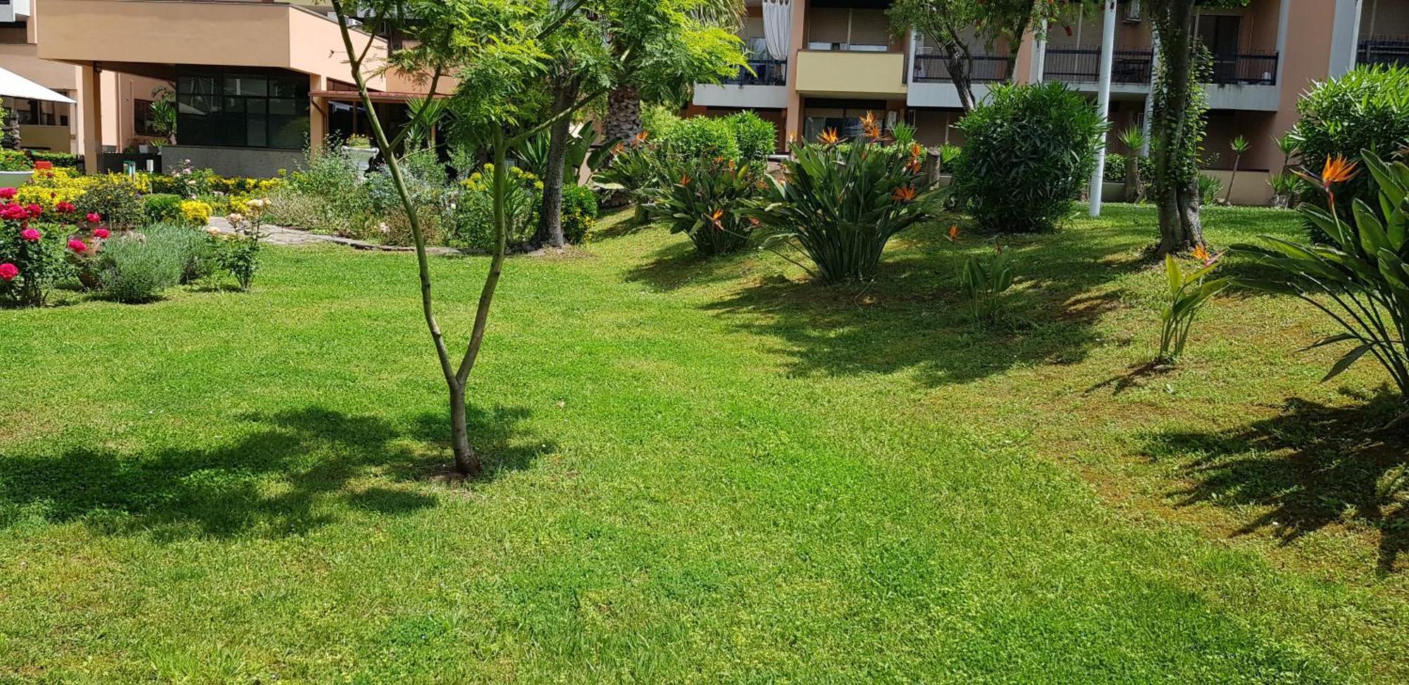 Green Oasis Rom Exterior foto